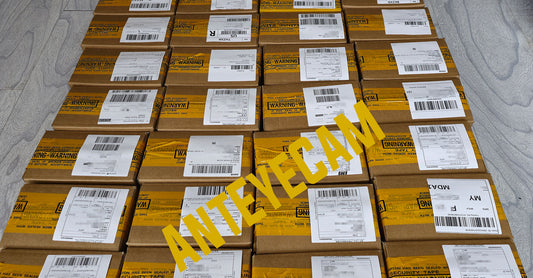What are the shipping options for AntEyeCam?